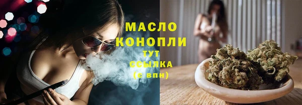 шишки Абаза
