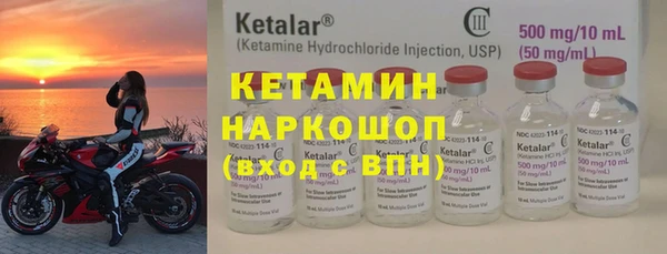 шишки Абаза