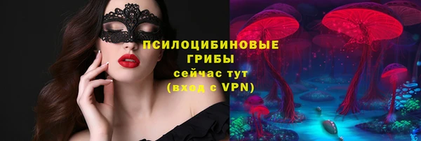 шишки Абаза
