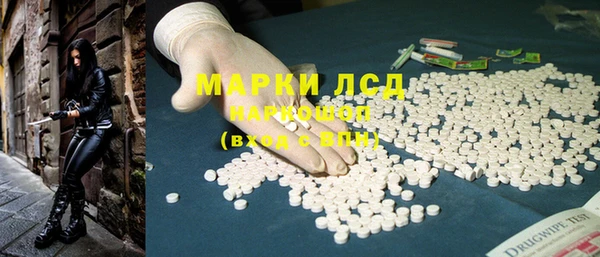 ПСИЛОЦИБИНОВЫЕ ГРИБЫ Алзамай