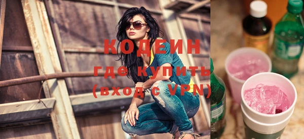 шишки Абаза