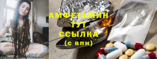 шишки Абаза