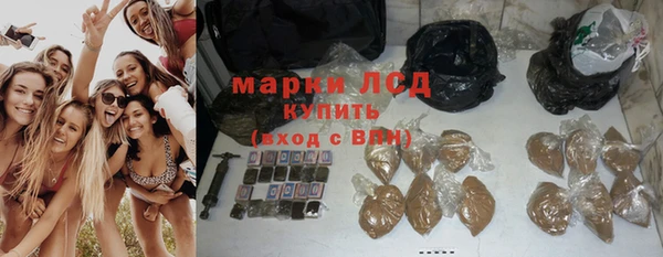 шишки Абаза