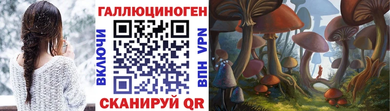 Псилоцибиновые грибы GOLDEN TEACHER  OMG ссылки  Камызяк 